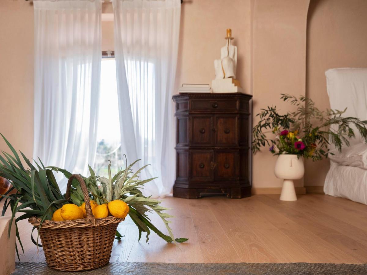 Paradis Agricole Pietrasanta Buitenkant foto